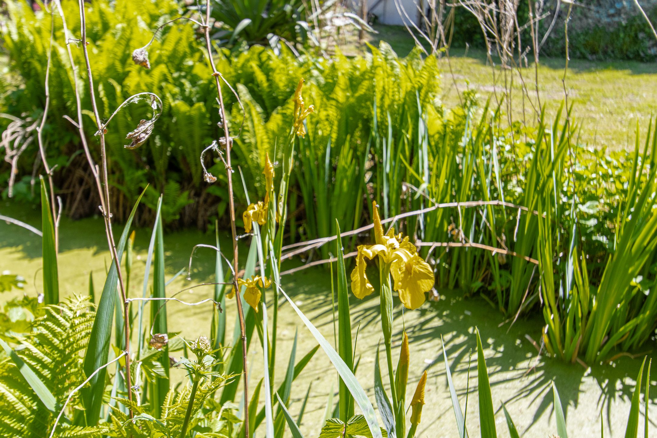 Foto 54 van Steenweg 11