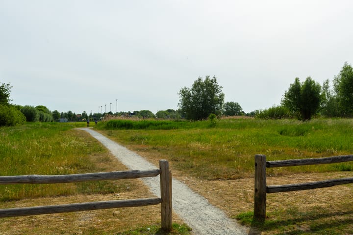 Foto 51 van Burg van Gentsingel 7