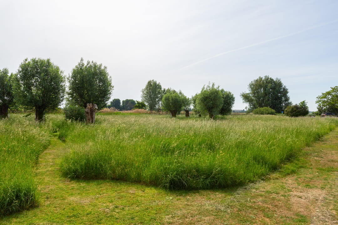 Foto 52 van Burg van Gentsingel 7