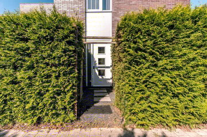 Foto 36 van Woldplantsoen 18