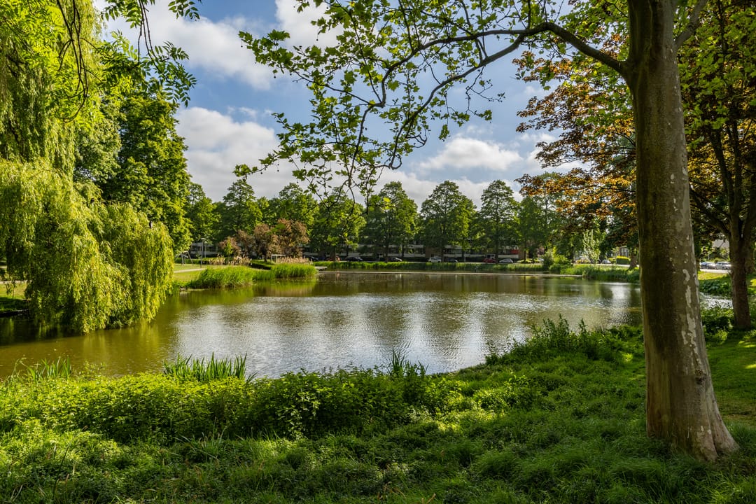 Foto 1 van Bilderdijklaan 21