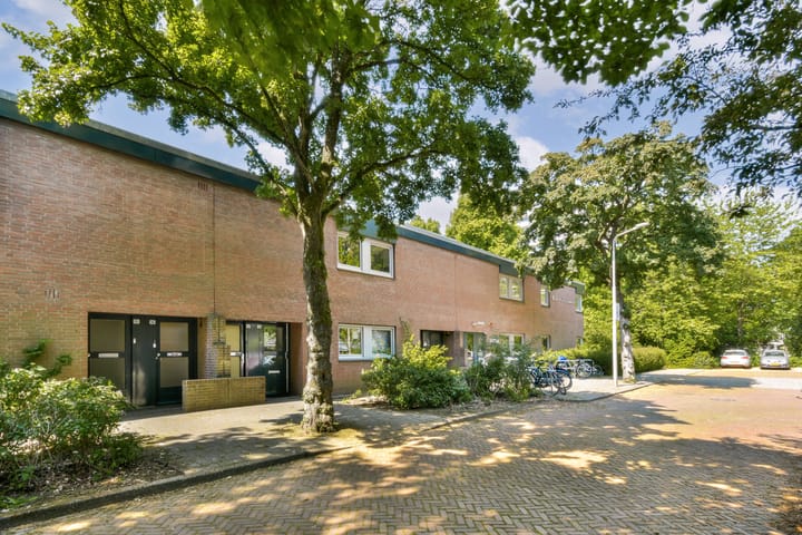 Foto 2 van Tholenseweg 12