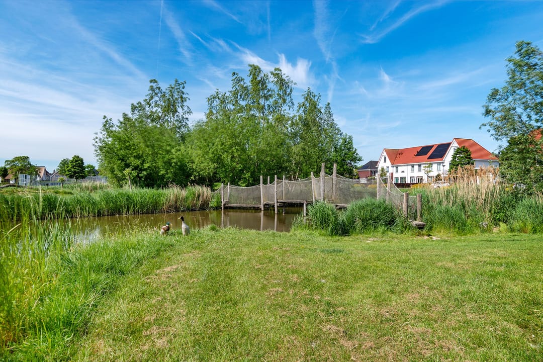 Foto 37 van Oranjerie 15