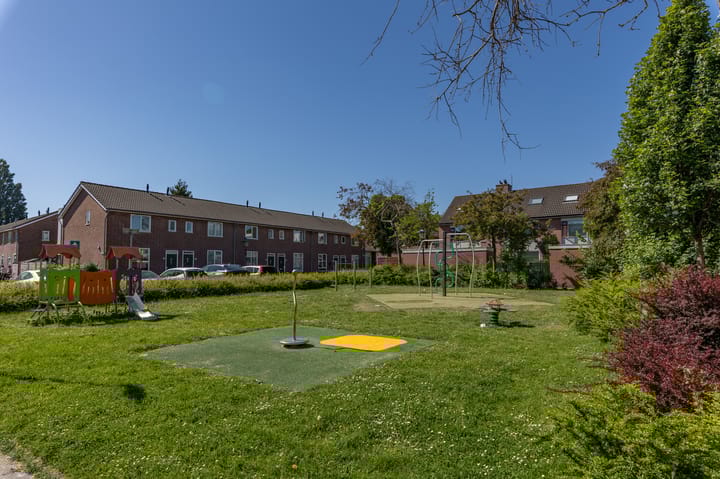 Foto 5 van Wildbaan 20