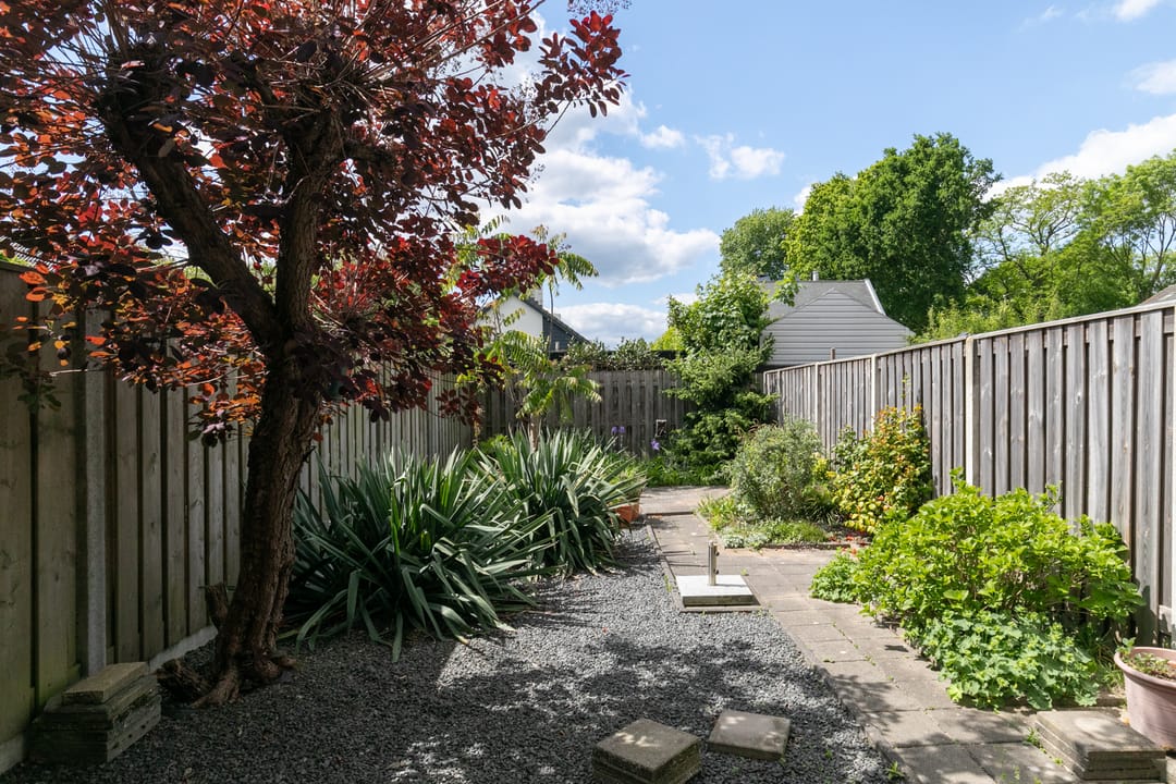 Foto 31 van Rijvoortshoef 240