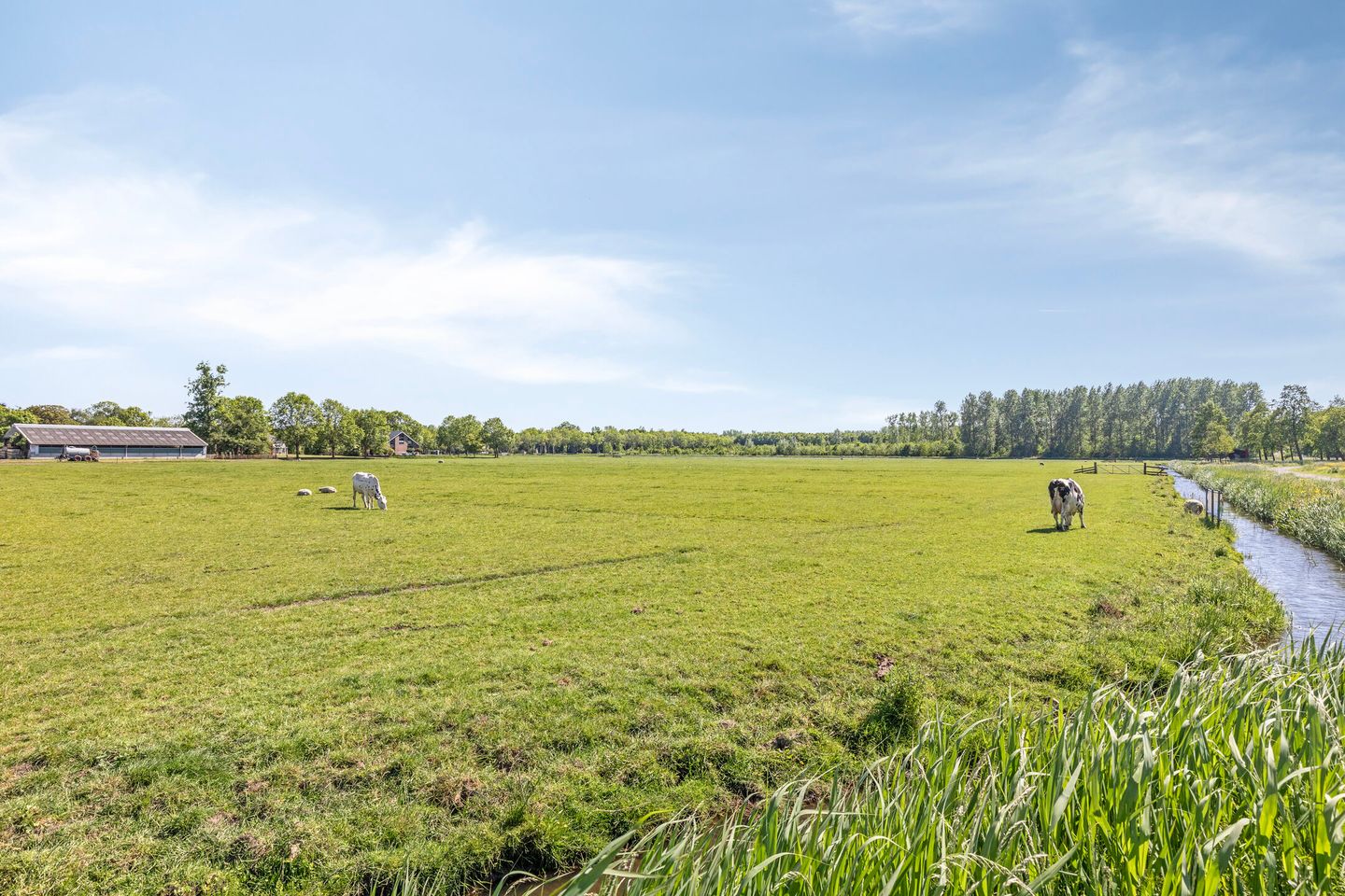 Foto 40 van Bisschop Romerostraat 132