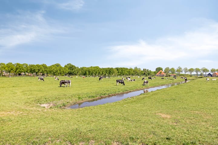 Foto 41 van Bisschop Romerostraat 132