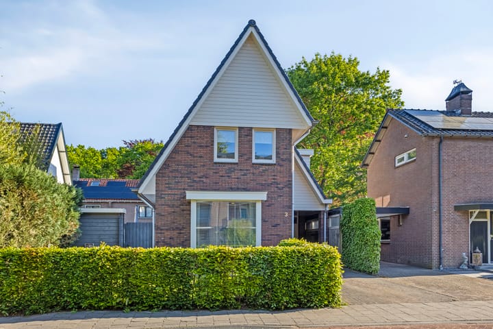 Foto 39 van de Leegte 3