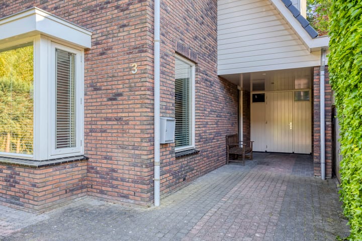 Foto 6 van de Leegte 3