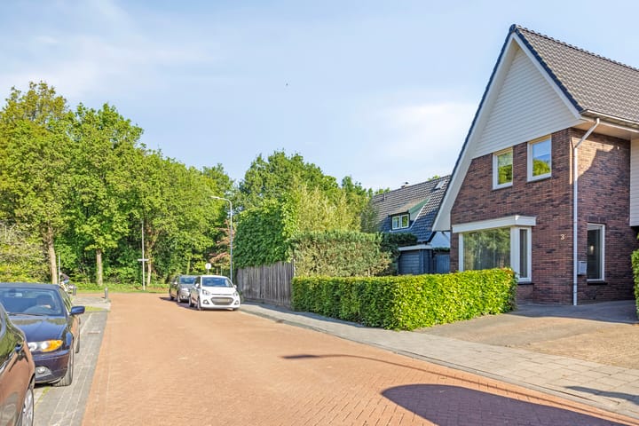 Foto 42 van de Leegte 3