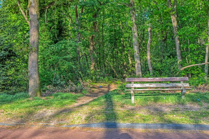 Foto 45 van de Leegte 3