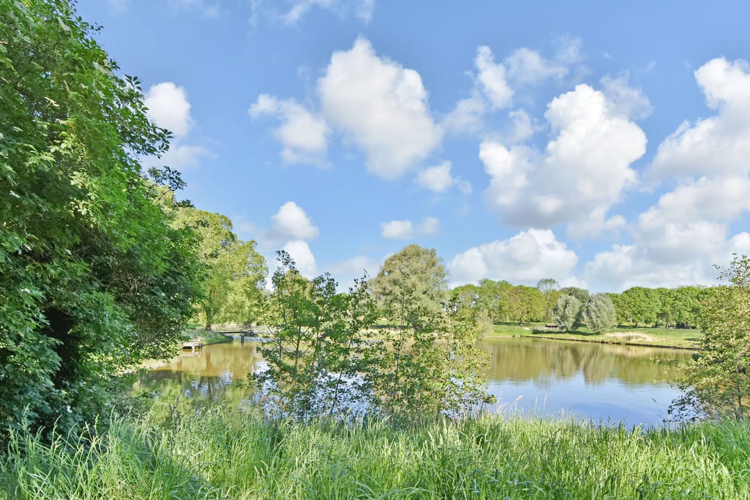 Foto 43 van Fretweide 5