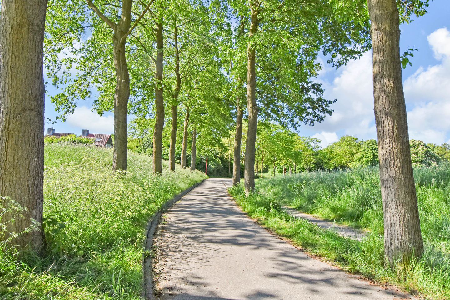 Foto 44 van Fretweide 5