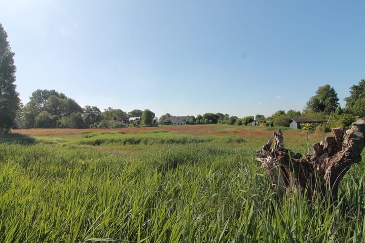 Foto 23 van Zuid Schalkwijkerweg 14