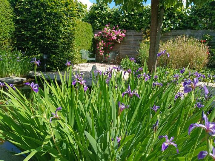 Foto 17 van Paleismuur 72