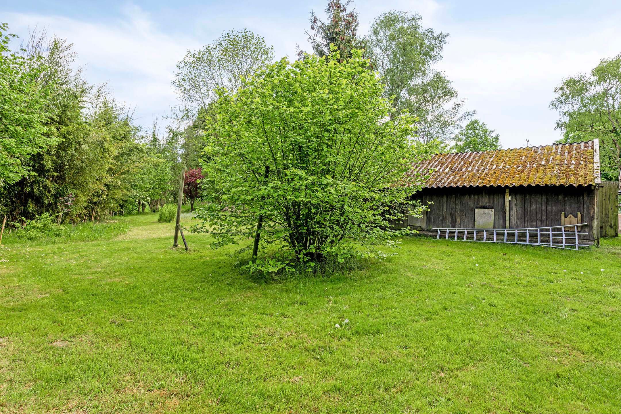 Photo 36 of Aladnaweg 22