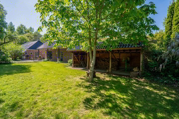 Foto 4 van Semsstraat 155