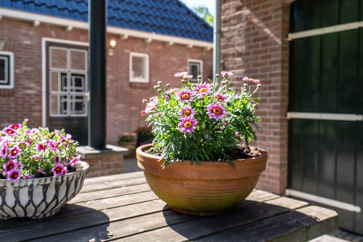 Foto 52 van Semsstraat 155