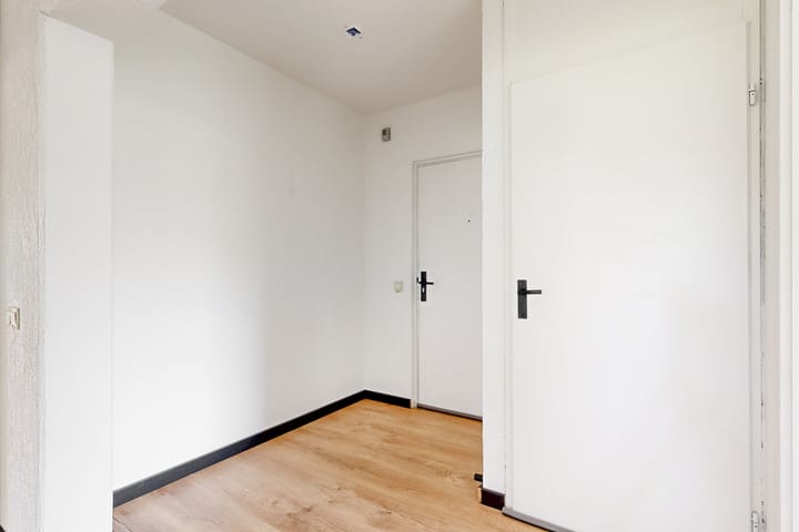 Foto 7 van Drieschstraat 58