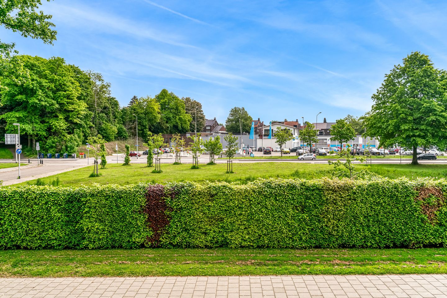 Foto 29 van Drieschstraat 58