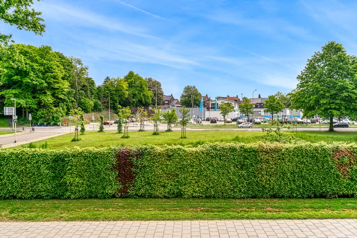 Foto 29 van Drieschstraat 58