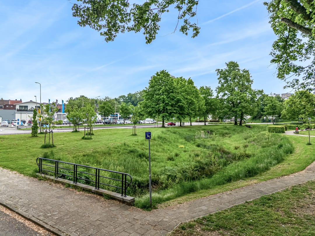 Foto 31 van Drieschstraat 58