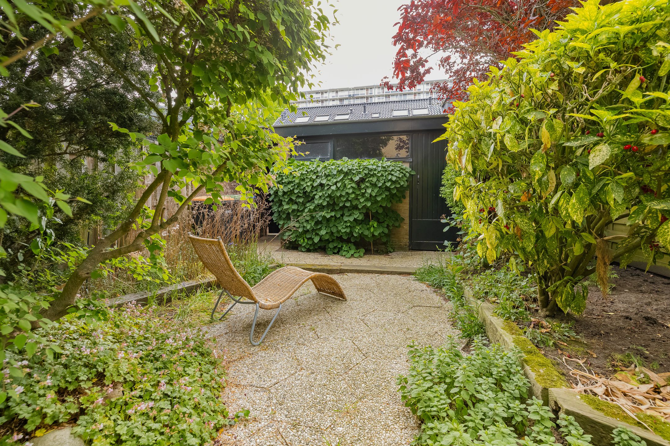 Foto 15 van Kleine Pan 7