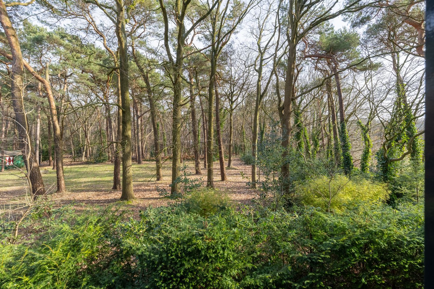 Foto 34 van Platte Akker 179