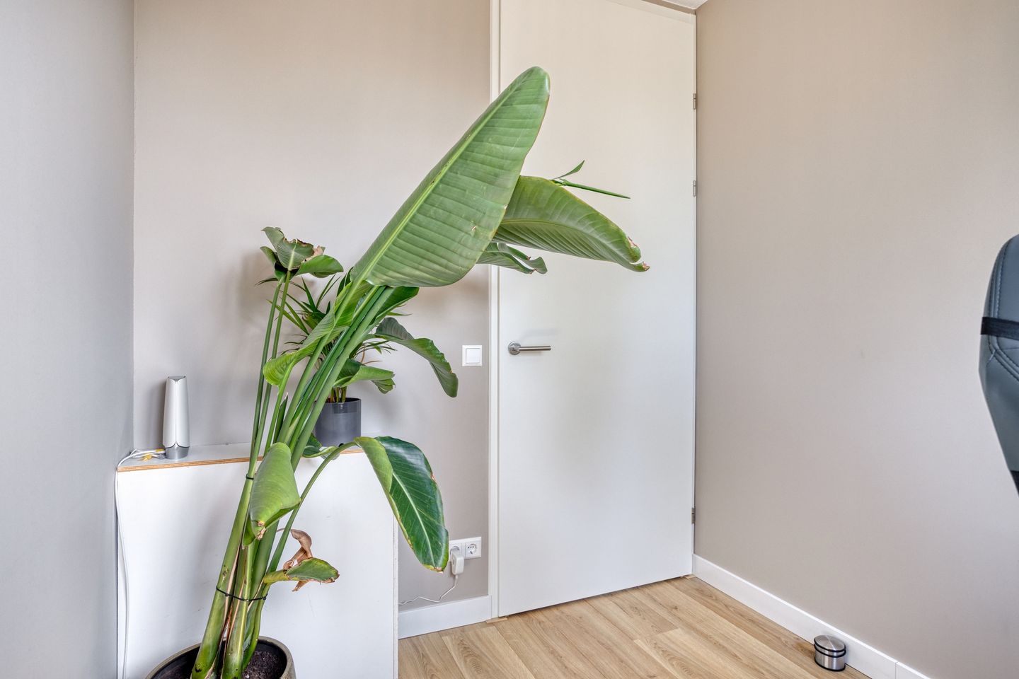 Foto 25 van Piet Snoeijersstraat 10