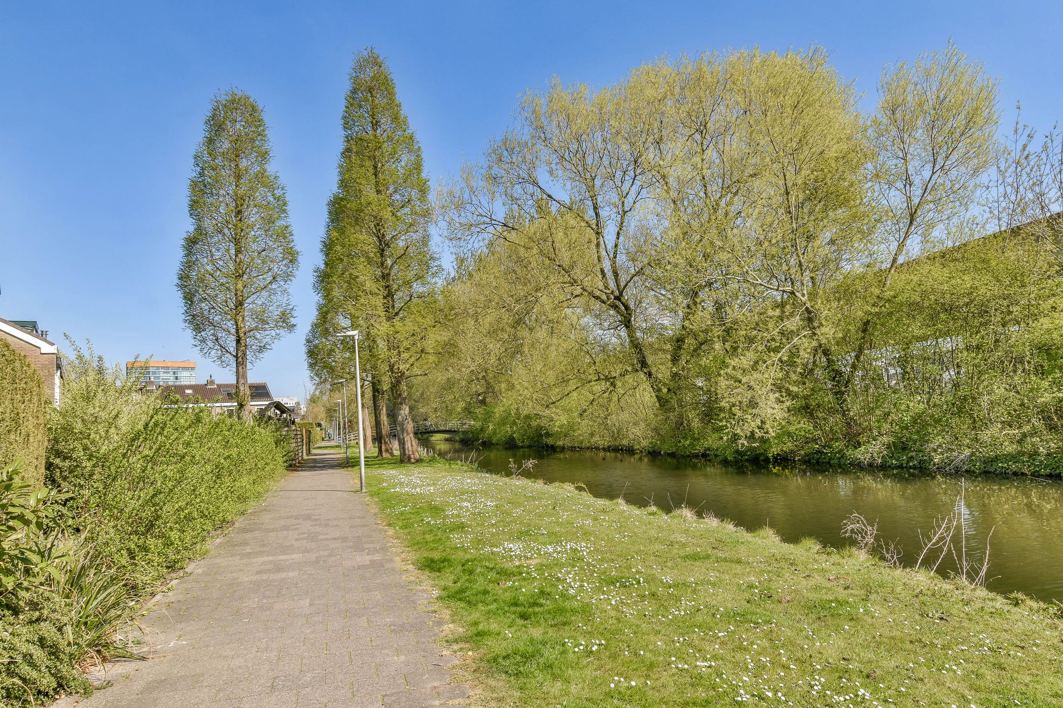 Foto 21 van Merellaan 46