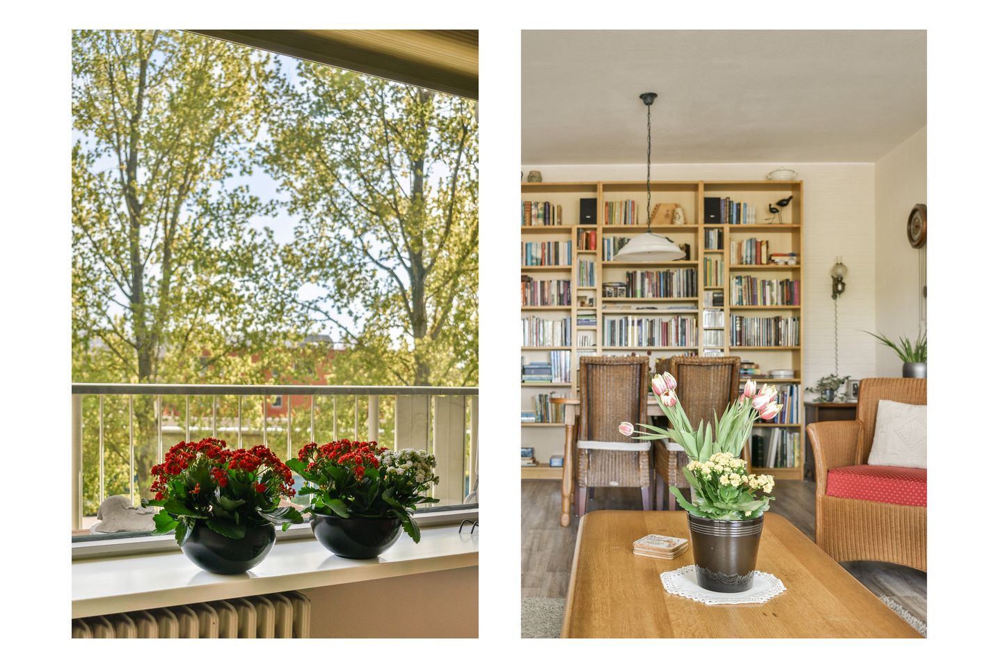 Foto 10 van Merellaan 46