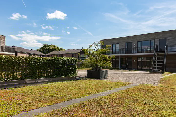 Foto 29 van Rondom 41