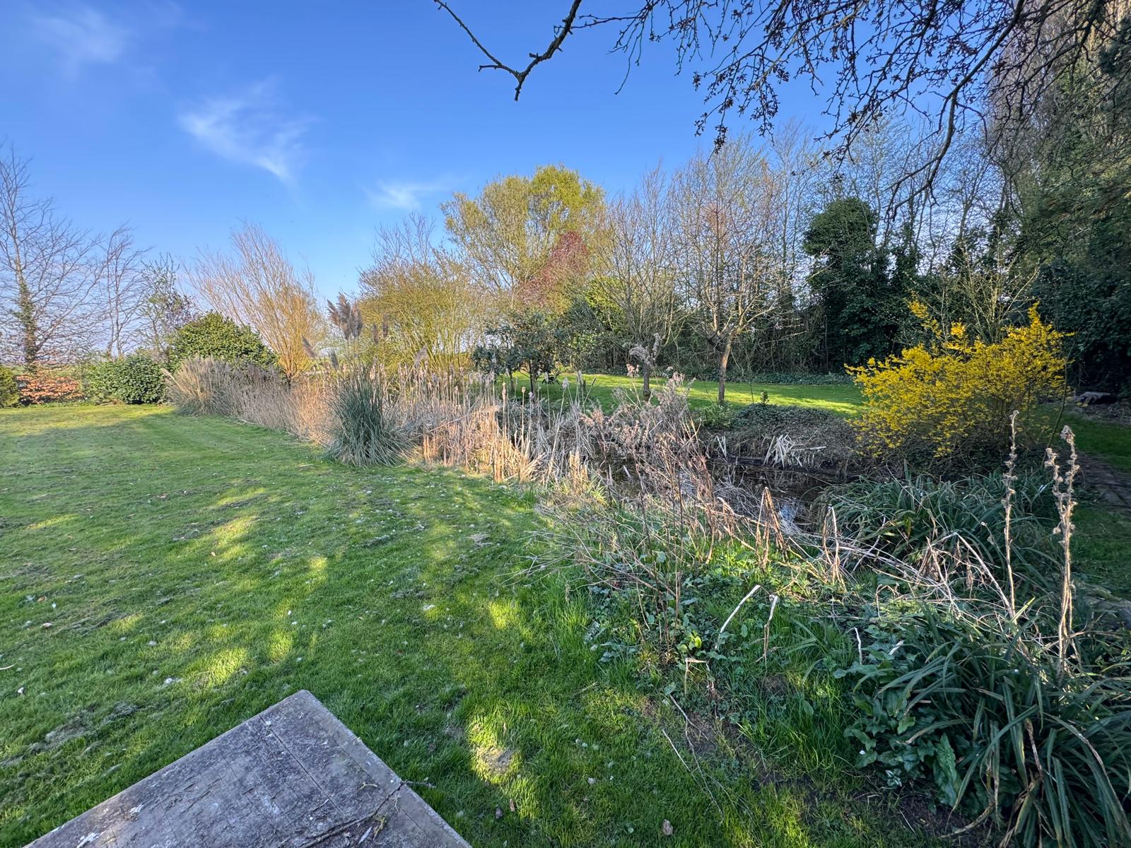 Foto 9 van Tragel Oost 23