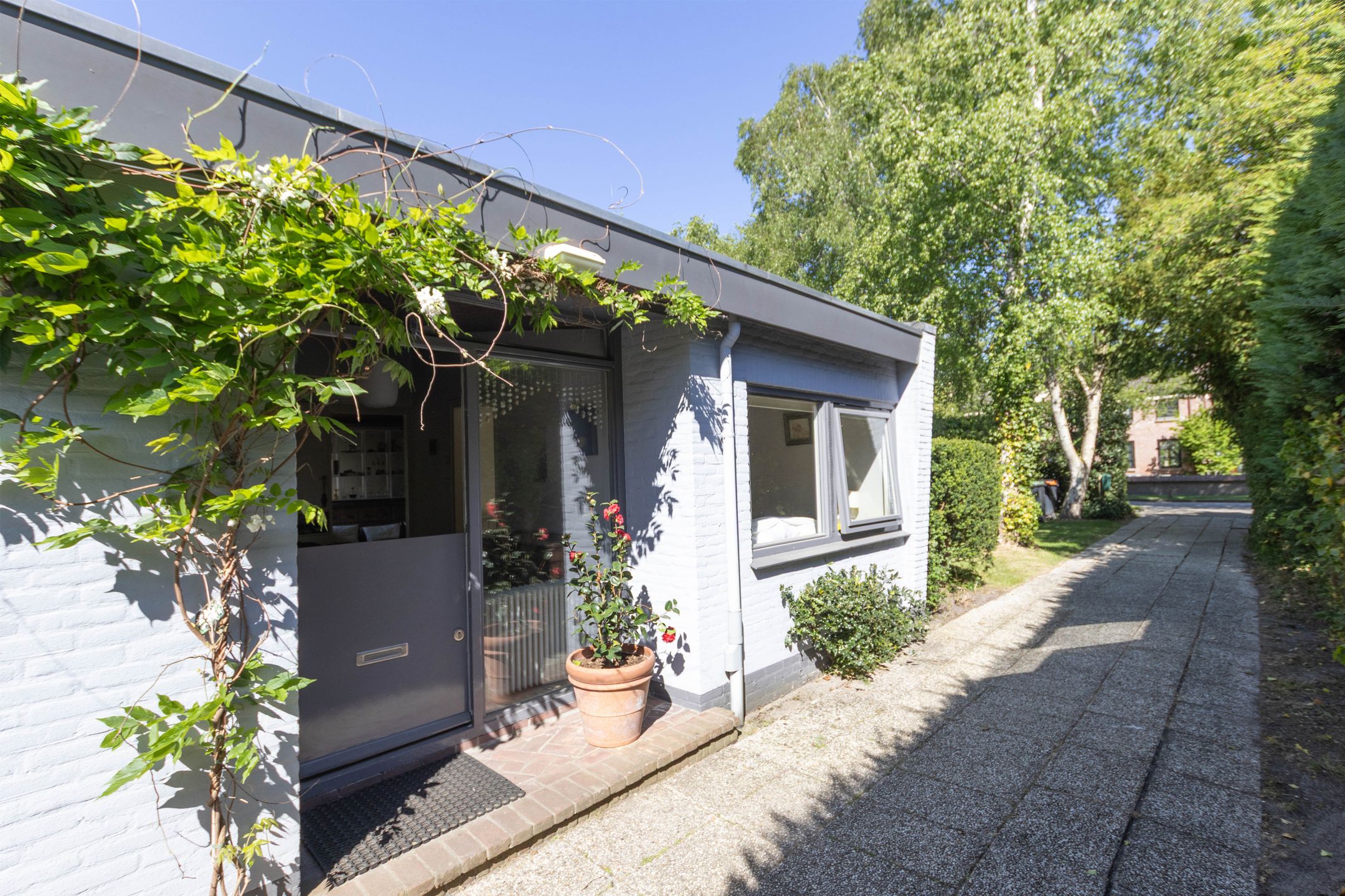 Foto 15 van Noordlaan 50