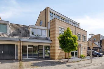 Ridderspoor 16 tertiary image