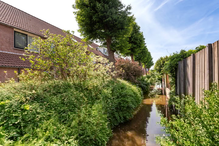 Foto 5 van Klaproos 5