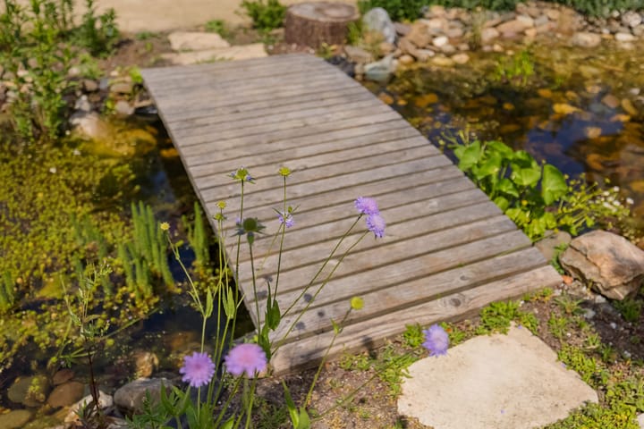 Foto 60 van Mozartlaan 1