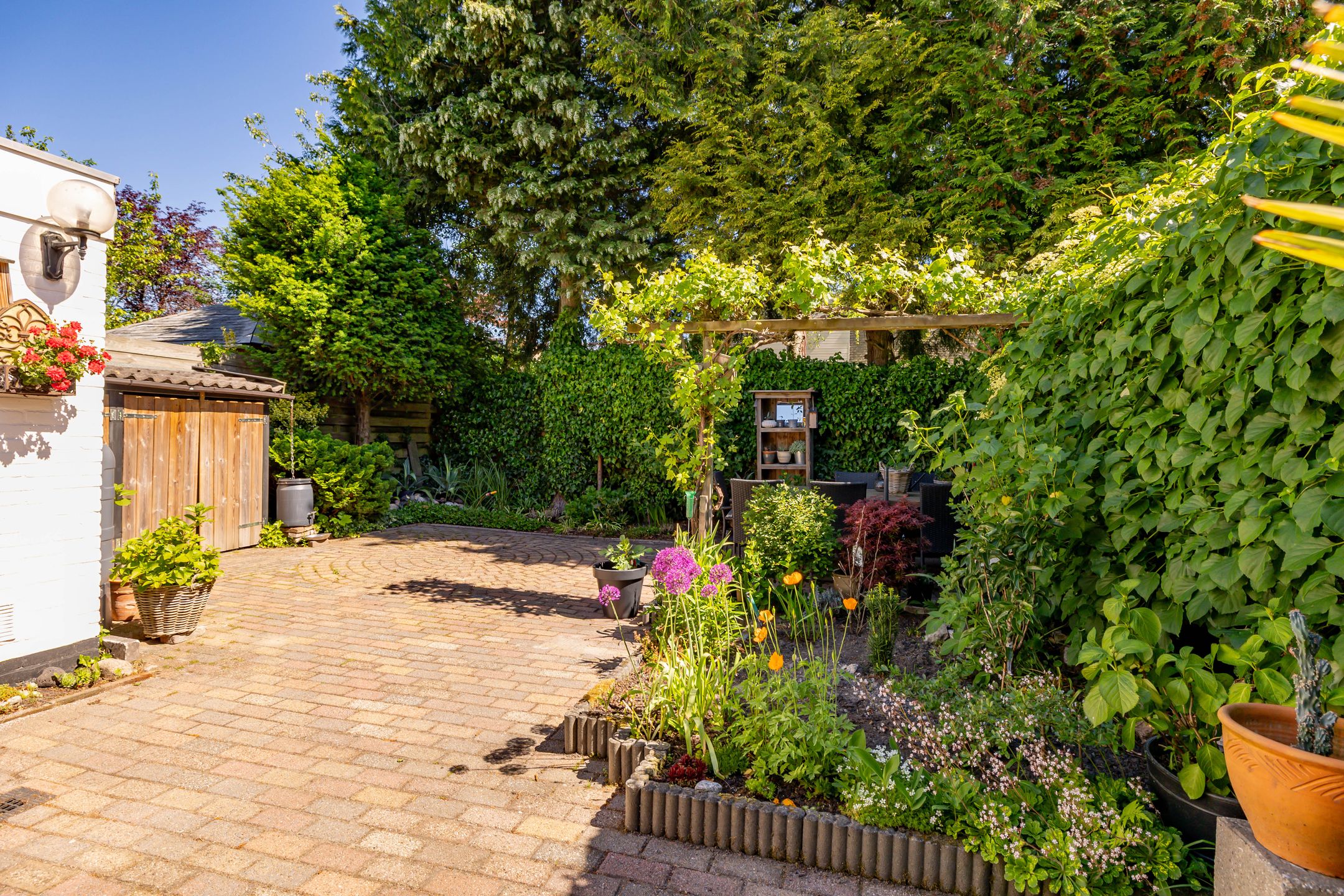 Foto 48 van De Wulp 56