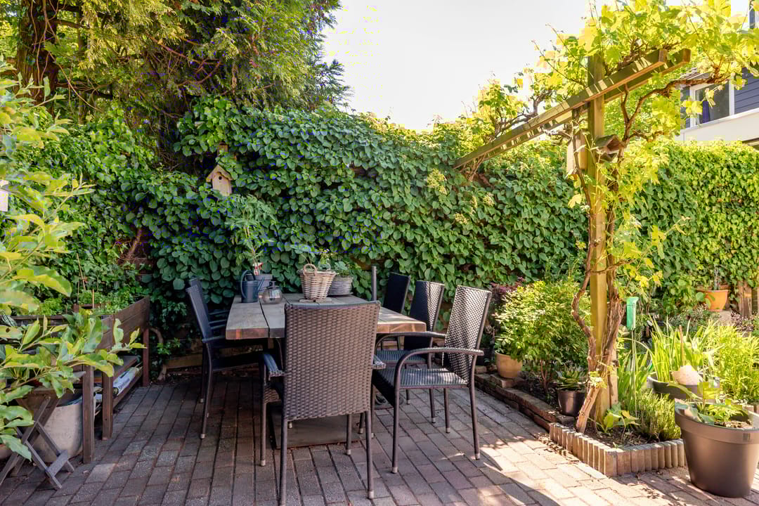 Foto 52 van De Wulp 56