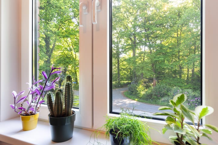 Foto 24 van Wieselse Kampweg 88