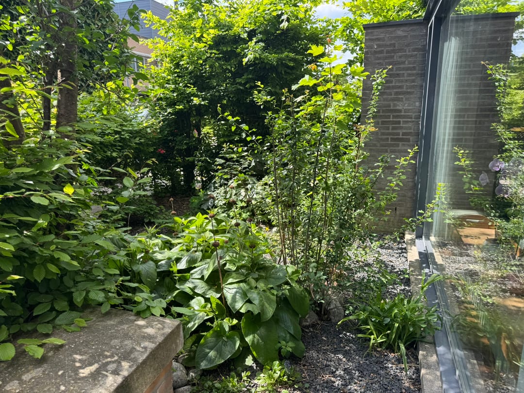 Foto 7 van Jonagoldstraat 21