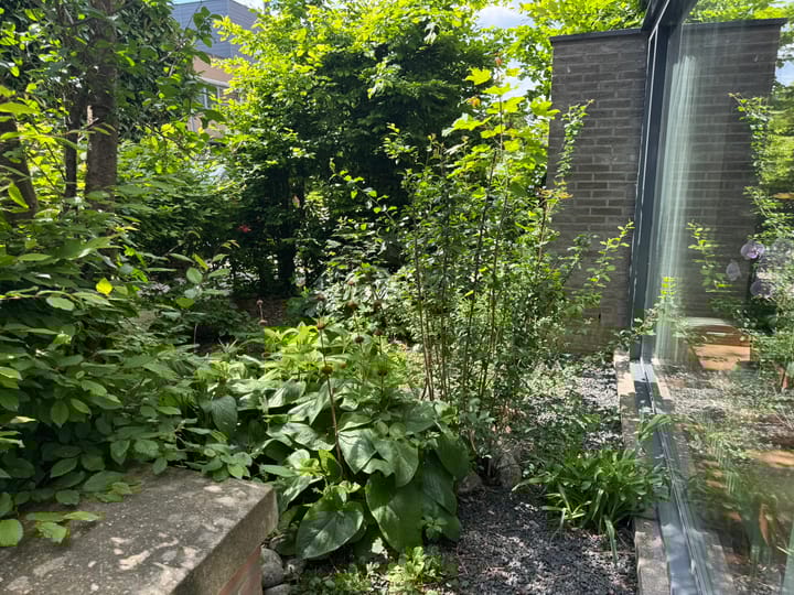 Foto 7 van Jonagoldstraat 21