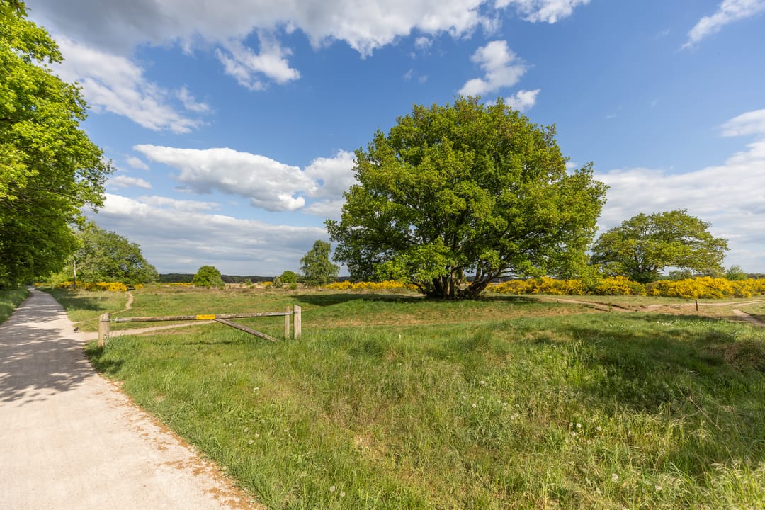 Foto 16 van Lange Heul 476