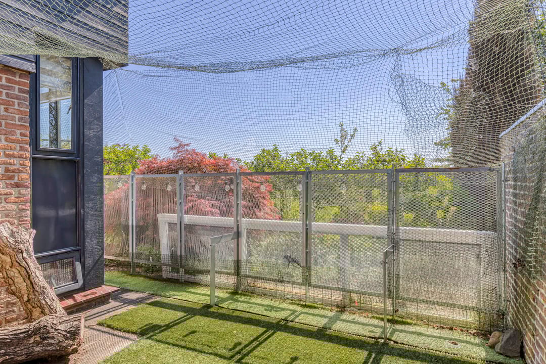 Foto 32 van Nocturnestraat 15