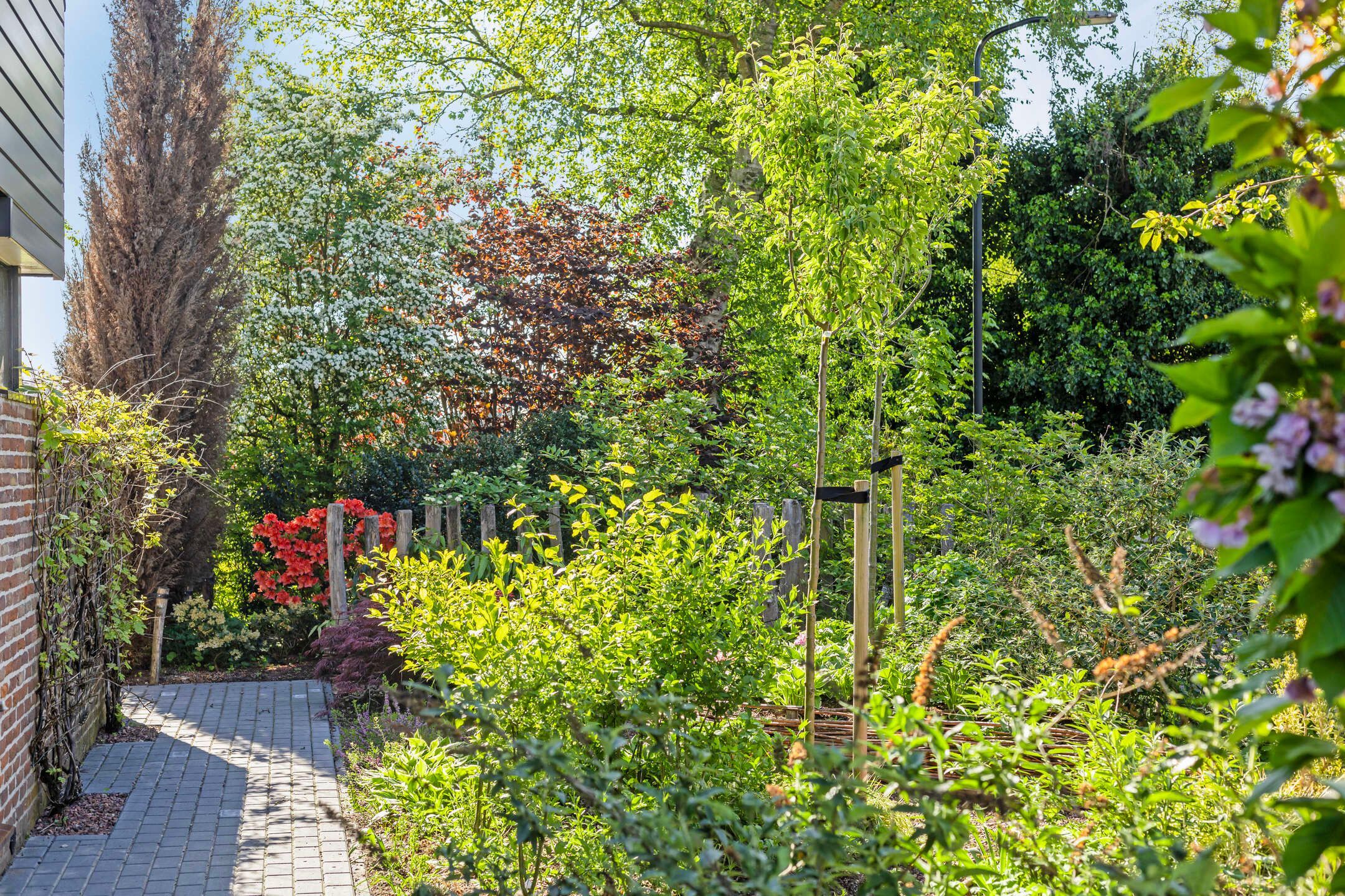 Foto 45 van Nocturnestraat 15