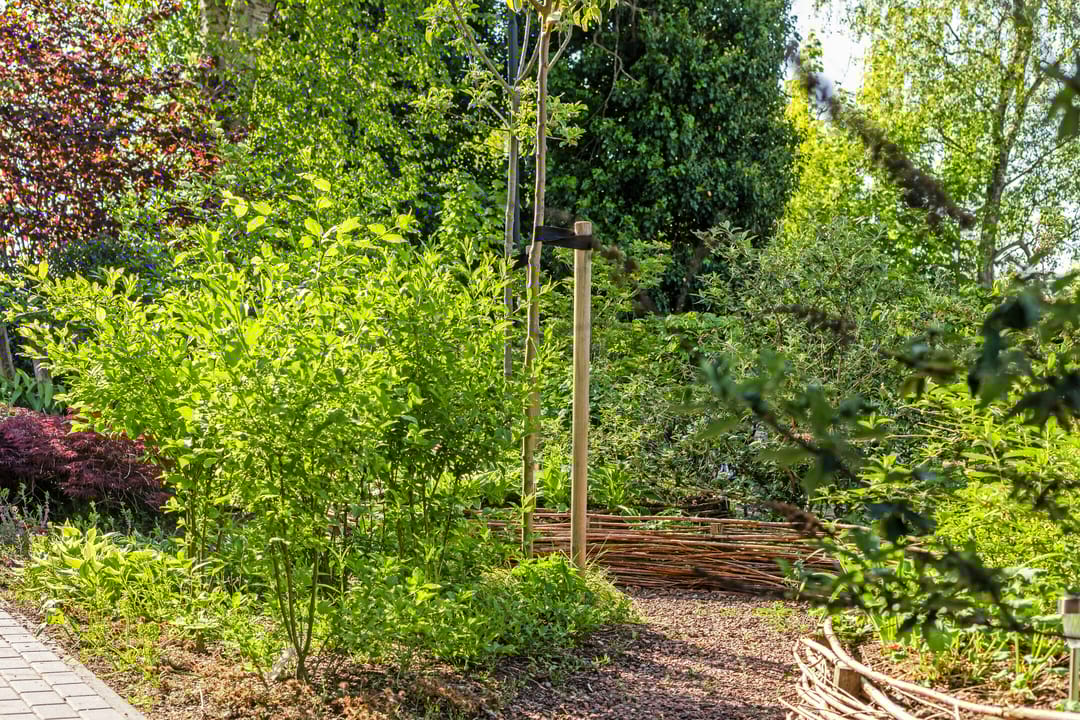 Foto 46 van Nocturnestraat 15