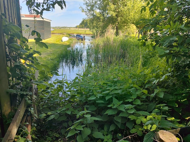 Foto 18 van Eesterich 14