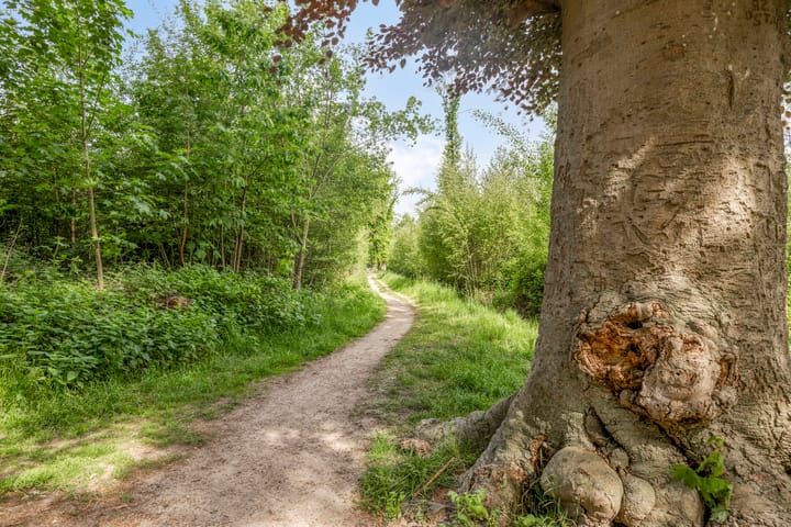 Foto 28 van Elzendreef 10