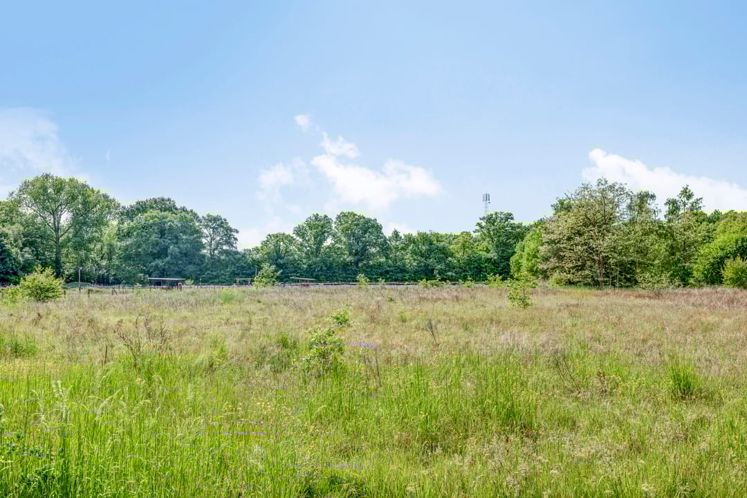 Foto 31 van Elzendreef 10