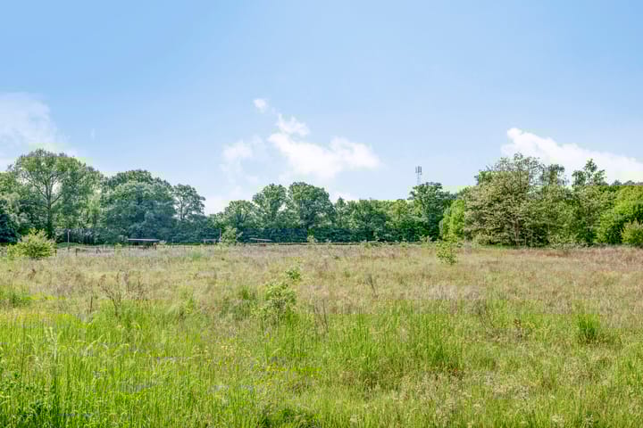 Foto 31 van Elzendreef 10